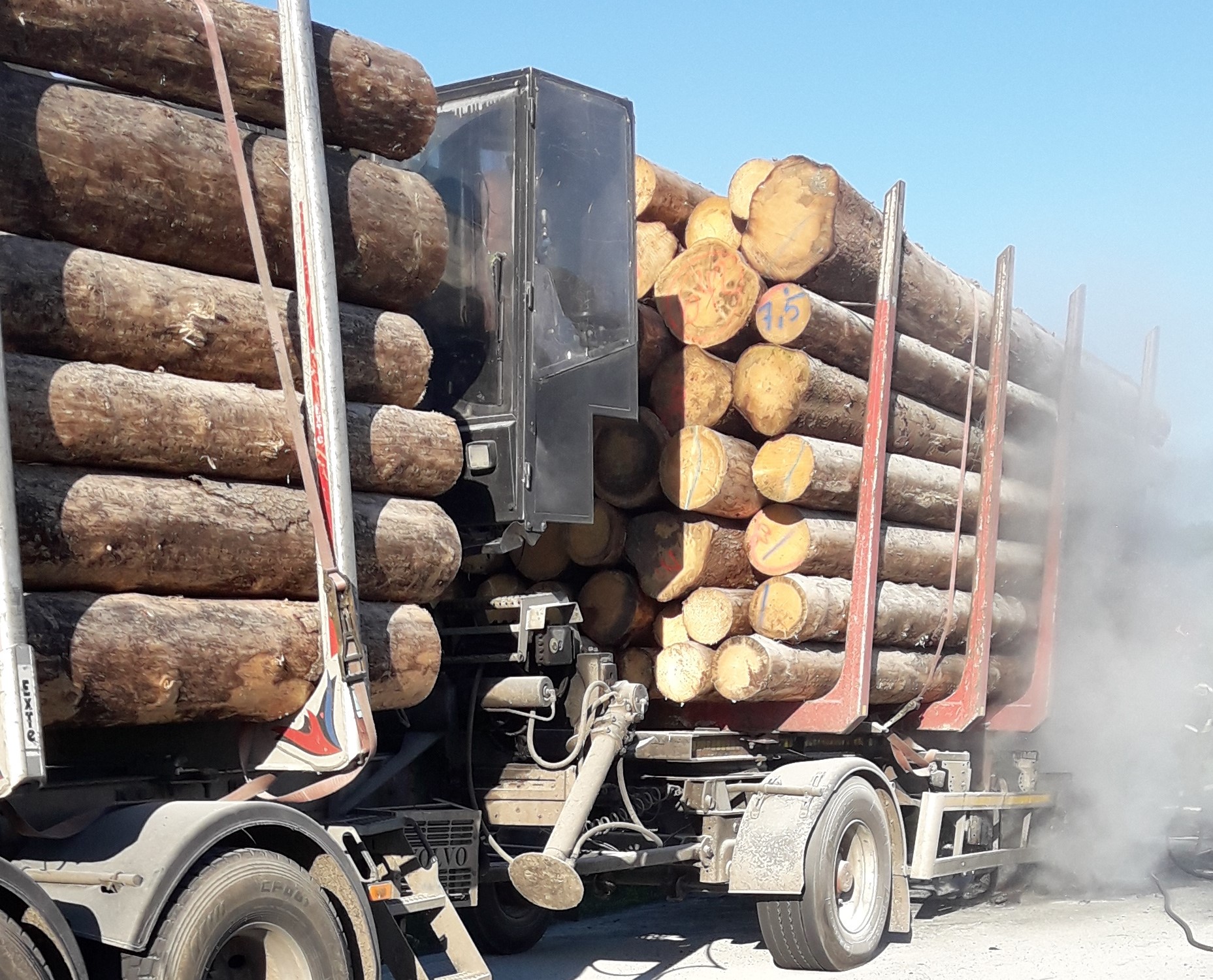 20200701 065450 media